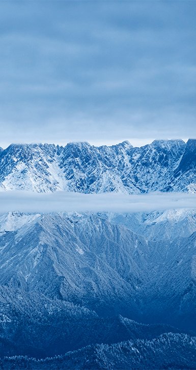 关于云顶集团3118入口